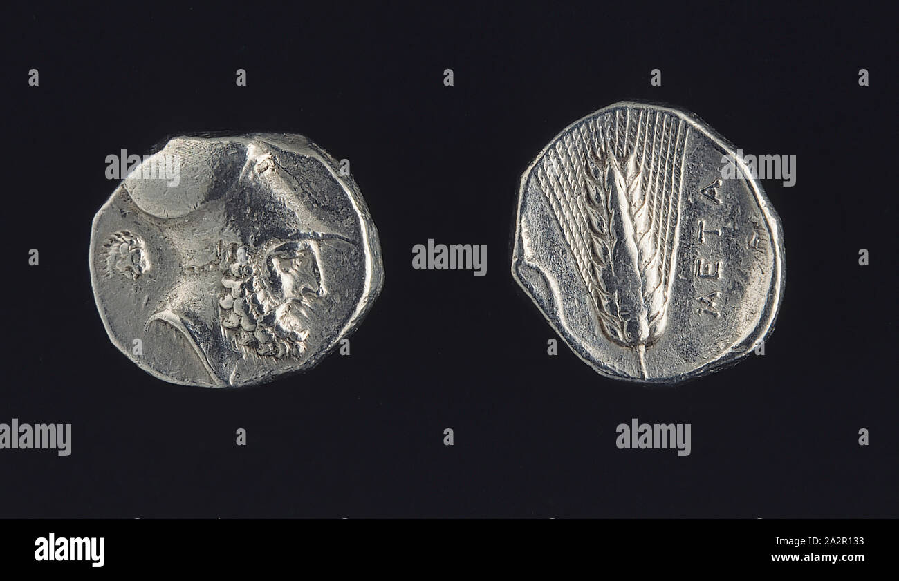 Greek, Stater of Metapontum, 350/330 BC, silver, Diam. 3/4 (2.0 cm.) max Stock Photo