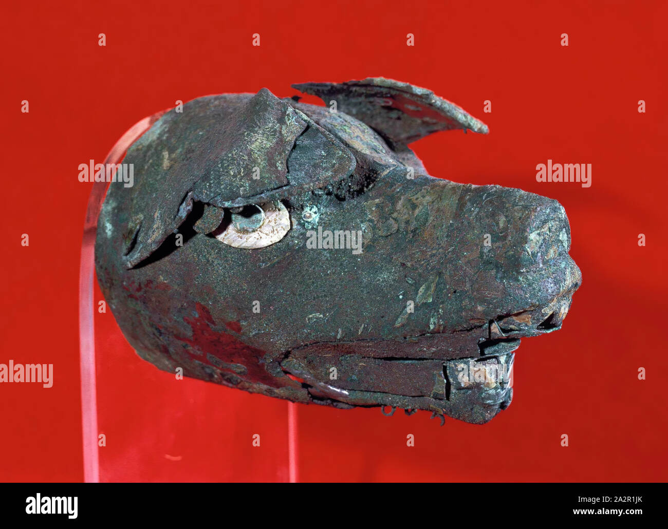 Mochica Precolumbian Head Of A Fox Between 500 And 700 Hammered Copper With Shell And Traces Of Gilding Overall 3 3 4 4 5 8 5 1 2 Inches 9 5 11 7 14 Cm Stock Photo Alamy