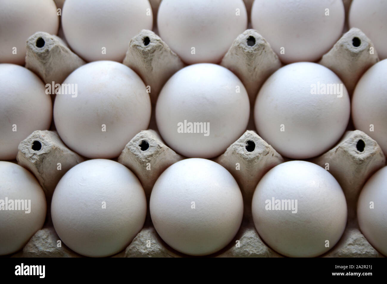 White chicken eggs carton tray pattern Stock Photo - Alamy