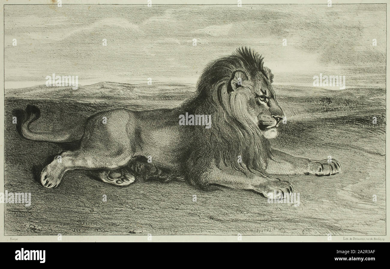 Lion de perse hi-res stock photography and images - Alamy