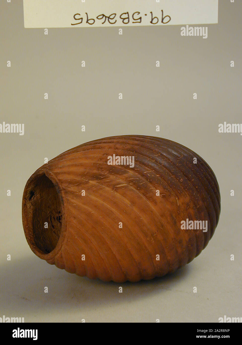 Jamaican Drinking Vessel With Carved Spiral 14 Coconut Shell Overall 5 3 1 4 Inches 12 7 8 3 Cm Stock Photo Alamy