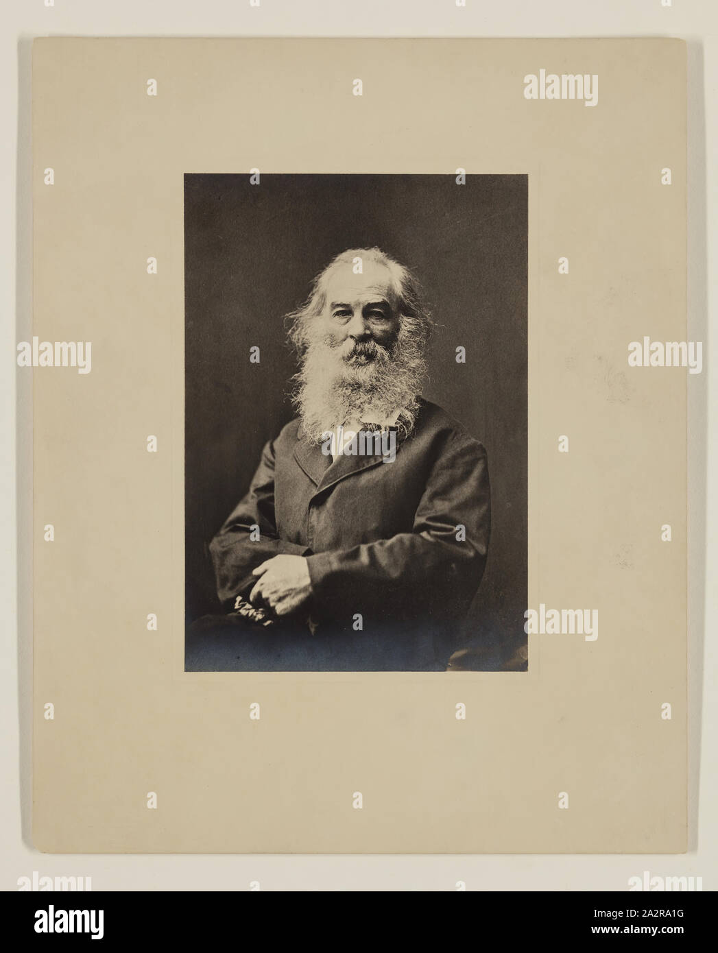 Unknown (American), Walt Whitman, 1873, gelatin silver print, Image: 6 1/8 × 4 1/4 inches (15.6 × 10.8 cm Stock Photo