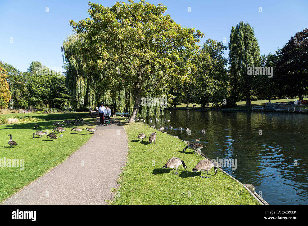 Beddington park hires stock photography and images Alamy