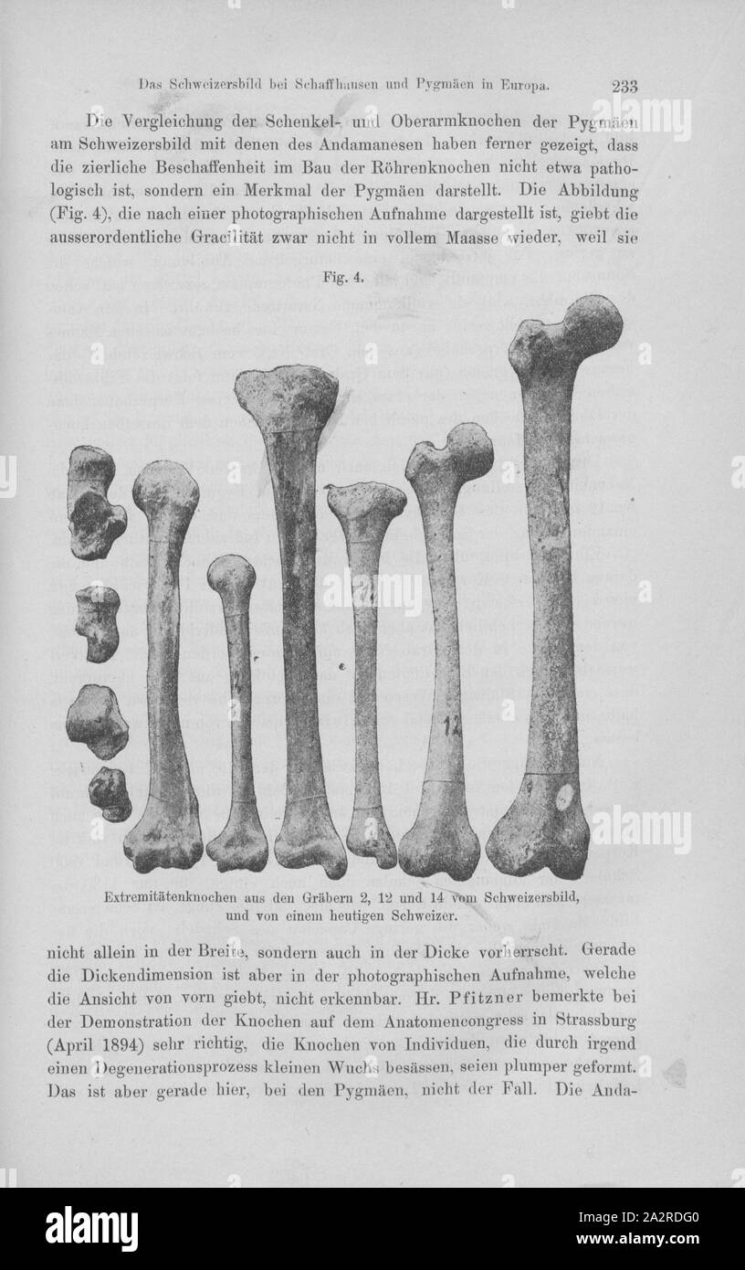 12 bones Black and White Stock Photos & Images - Alamy