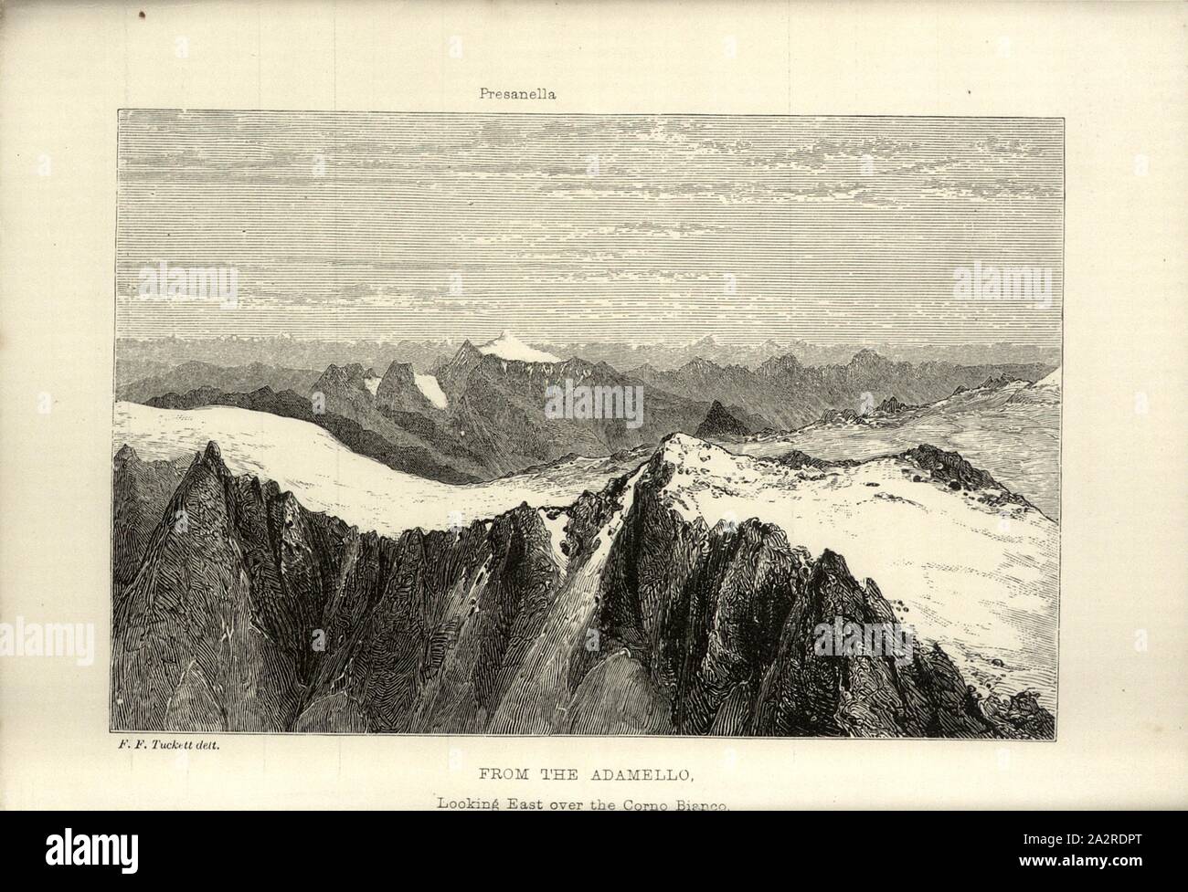 Corno Bianco seen from the Adamello Massif, to p. 212 Stock Photo