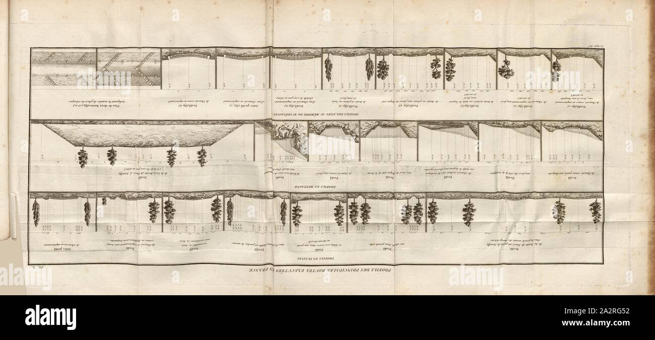 Profiles of the main roads in France, Profile of French main roads on various terrain, in the lowlands and in the mountains, Signed: Le Sage (del.), Pl. X, to p. 116, Lesage, Pierre-Charles (del.), 1806, Pierre-Charles Lesage: Recueil de divers mémoires, extraits de la bibliothèque des ponts et chaussées ... Paris: chez Bernard, 1806 Stock Photo