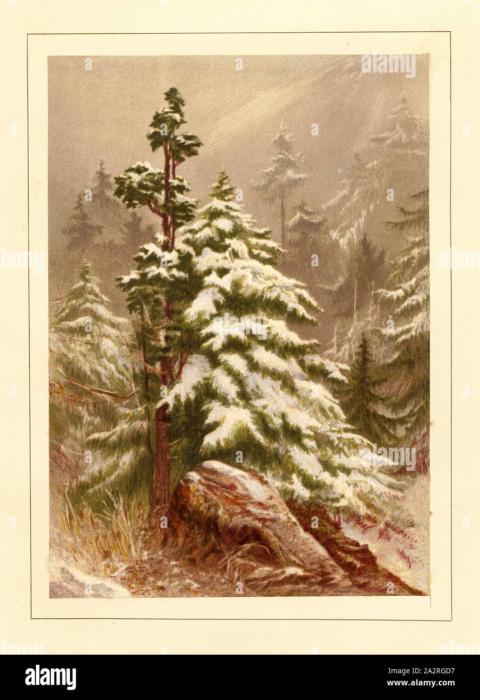 Winter, Winter landscape in the Alps, Fig. 4, according to p. 8, Walton, Elijah (pinx.); Lowes, J. H. (chromolith. after Elijah Walton), 1867, Elijah Walton; J. H. Lowes; Thomas G. Bonney: The peaks and valleys of the Alps. London: published by Day and Son, limited, 1867 Stock Photo