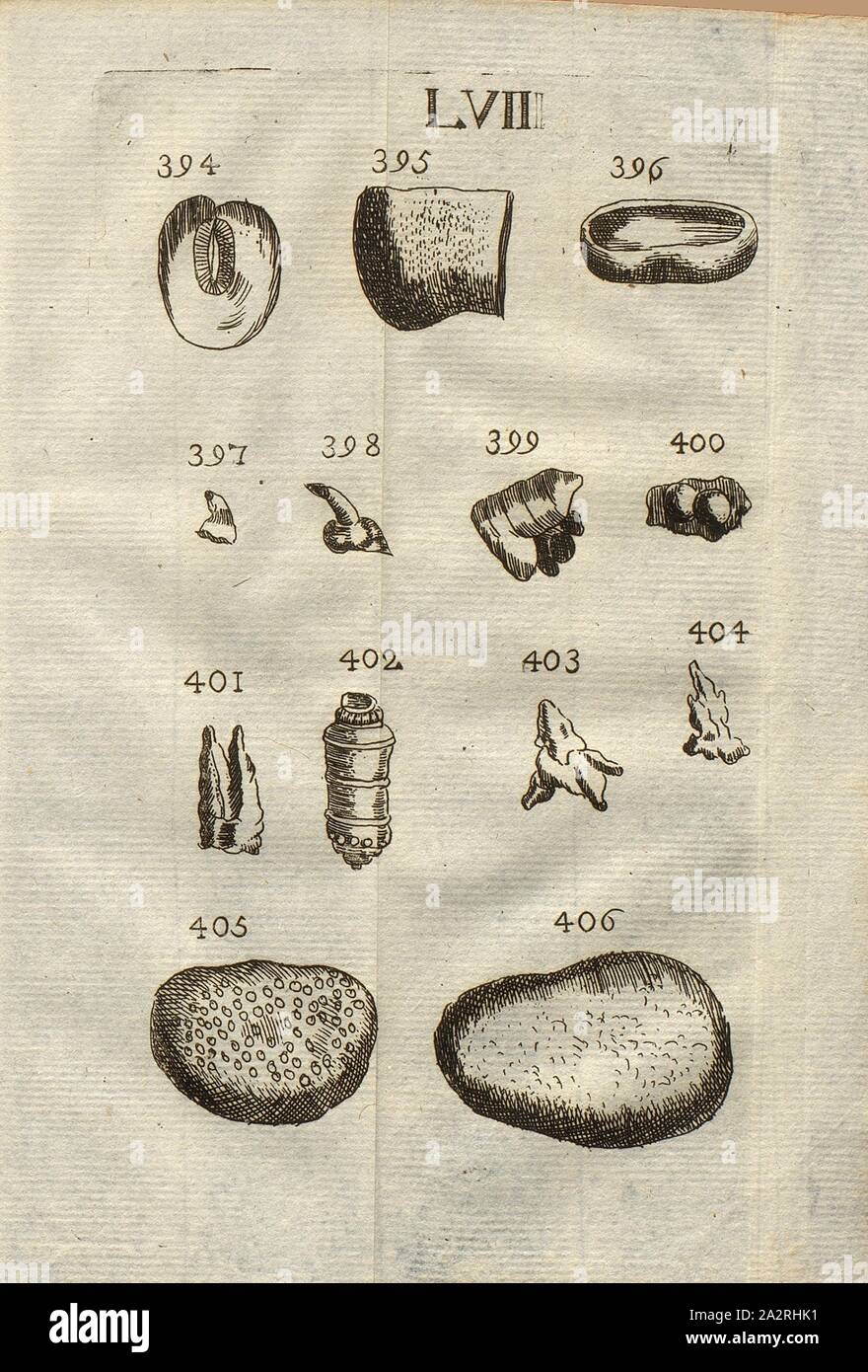 Hysteroliths, teeth of various species of fish, dentato, echinid ossicles, echinid bones, hammitae, class IV, LVII, Fig. 394 Hysterolithe de M. Lang, Fig. 395: Fragment d'un os de poisson, Fig. 396: Dent concave du poisson que les Napolitains appellent Dentato, Figs. 397 & 398: Osselets d'Echinites, fig, 399 & 400: Pétrifications de figure bizarre, Fig. 401: Os d'Echinite, Fig. 402: Rayon d'Echinite couronne, Fig. 403 & 404: Petits os d'Echinite, Figs. 405 & 406: Amas de petits, oeufs de poisson pétrifiés, appellés aussi Hammitae, pl. LVII, after p. 312, 1778, Louis Bourget: Traité des Stock Photo