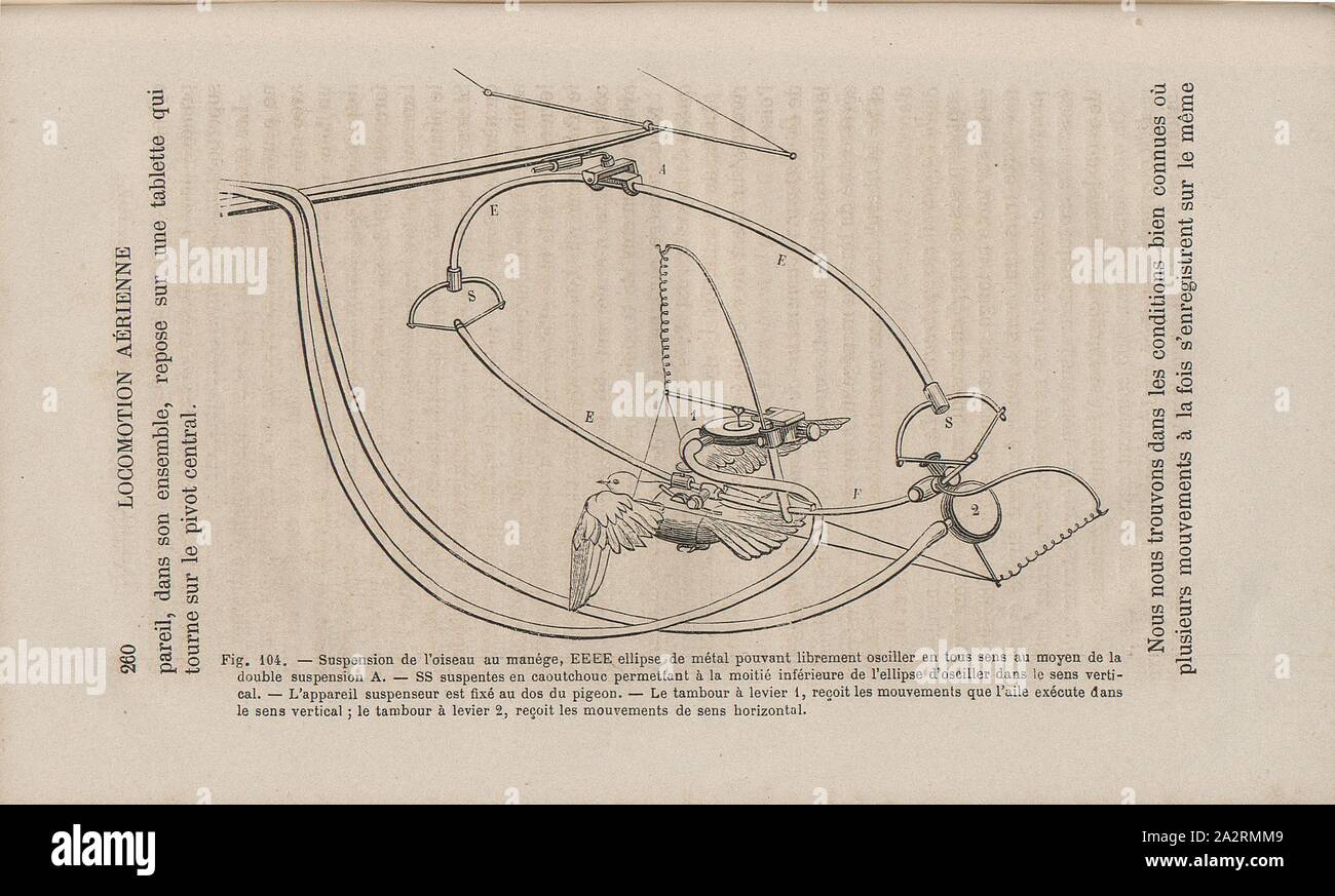 Suspension of the bird at the carousel, EEEE metal ellipse can freely oscillate in all directions by means of the double suspension ..., Device for measuring the wing movements of a bird, Fig. 104, p. 260, 1873, E. J. Marey: La machine animale: locomotion terrestre et aérienne. Paris: Baillière, 1873 Stock Photo