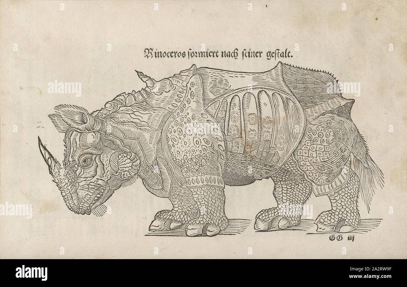 Rhino forms after his form, Illustration of a rhinoceros from the 16th century, Fig. 37, according to S. DCXXX, 1544, Sebastian Münster: Cosmographia. Beschreibung aller Lender durch Sebastianum Münsterum: in welcher begriffen aller Voelker, Herrschaften, Stetten, und namhafftiger Flecken, herkommen: Sitten, Gebreüch, Ordnung, Glauben, Secten und Hantierung durch die gantze Welt und fürnemlich Teütscher Nation [...]. Basel: durch Henrichum Petri, 1544 Stock Photo