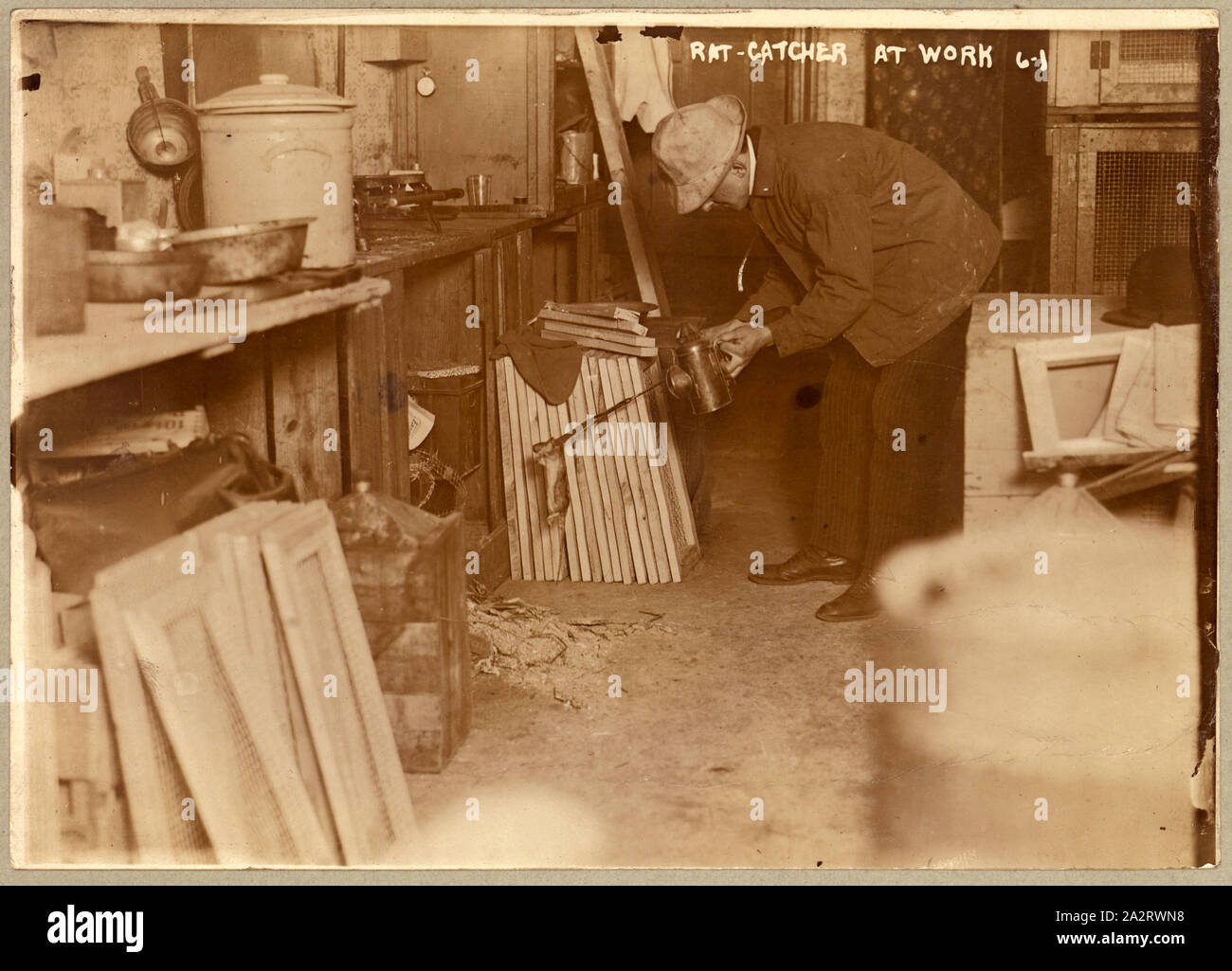 Page 2 - Rat Catcher High Resolution Stock Photography and Images - Alamy