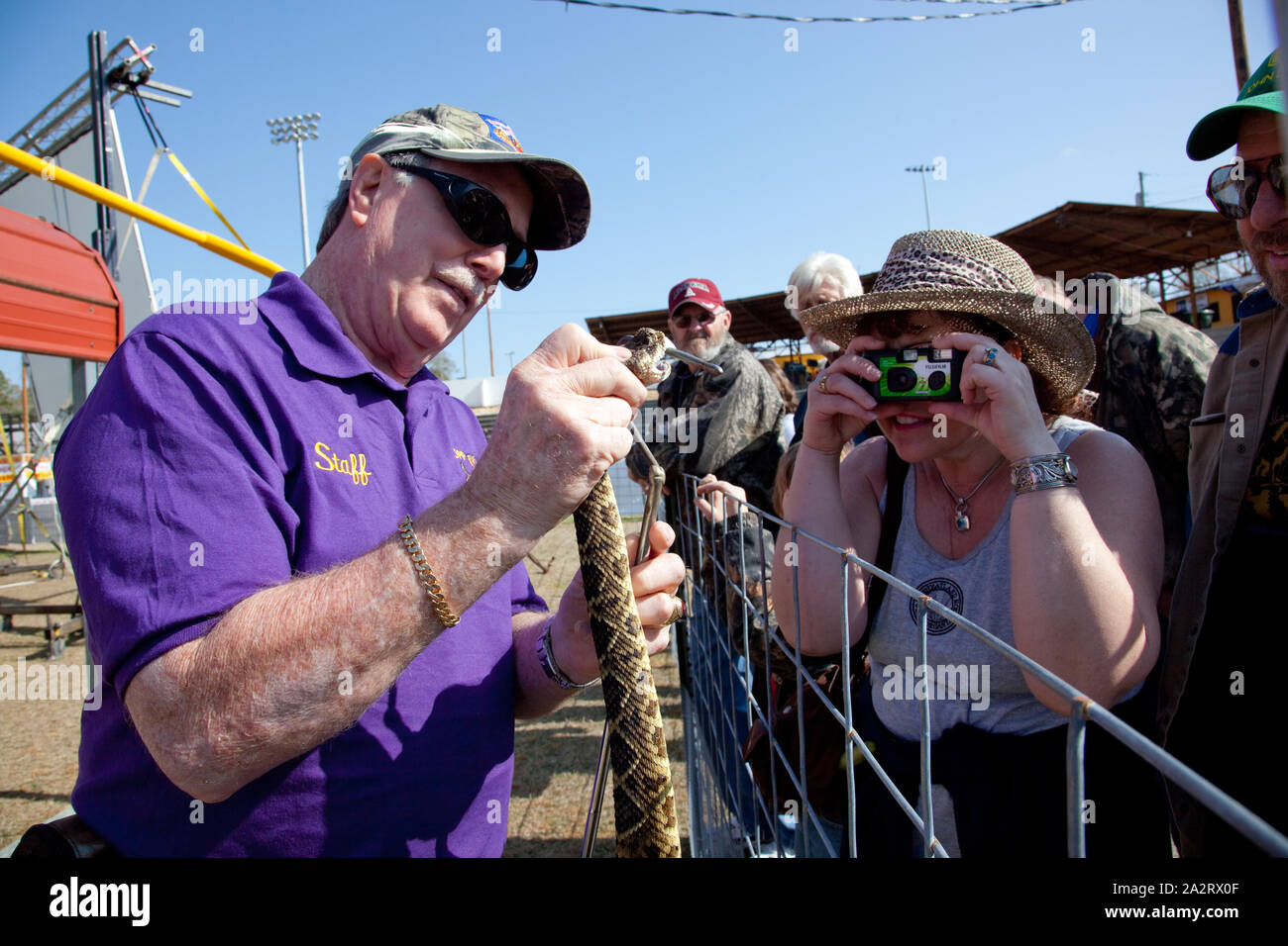Rattlesnake rodeo hires stock photography and images Alamy