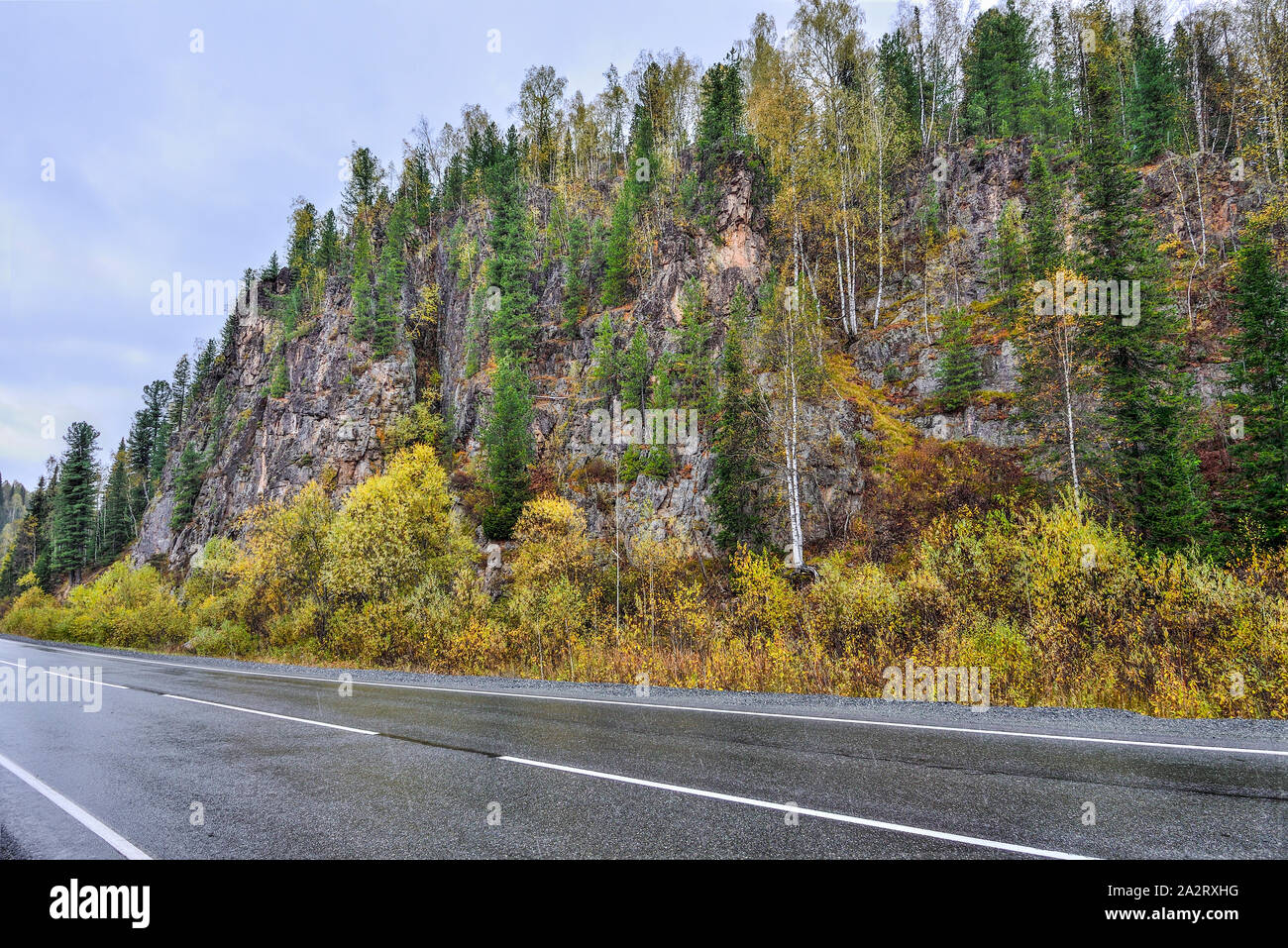 Autumn Scenic Landscape - Turn of a mountain road under a rocky cliff in the midst of a brightly colored autumn forest covering the mountains. Golden Stock Photo
