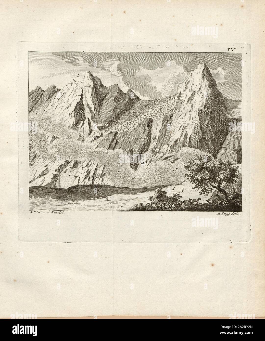 The cluster of Schwartswald, or Black Forest, In the background, the Rosenlaui glacier, in the foreground a shepherd grazing his herd, signed: S. H. Grim (ad nat. Del.); A. Zingg (sculp.), Fig. 6, IV, after p. 372, p. 401, Grim, S. H. (ad nat. del.); Zingg, Adrian (sculp.), 1770, Gottlieb Sigmund Gruner; Louis-Félix Guinement de Keralio: Histoire naturelle des glacieres de Suisse. Paris: Panckoucke, MDCCLXX [1770 Stock Photo