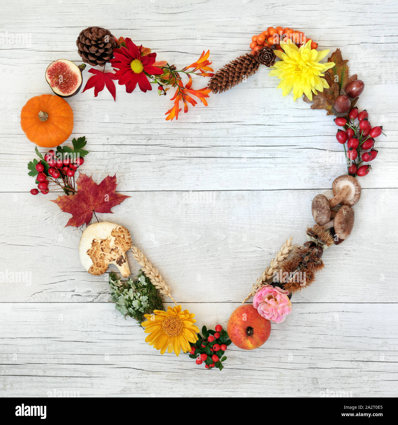 Heart shaped autumn wreath with flora, food and fauna on rustic wood background. Harvest festival theme. Top view. Stock Photo