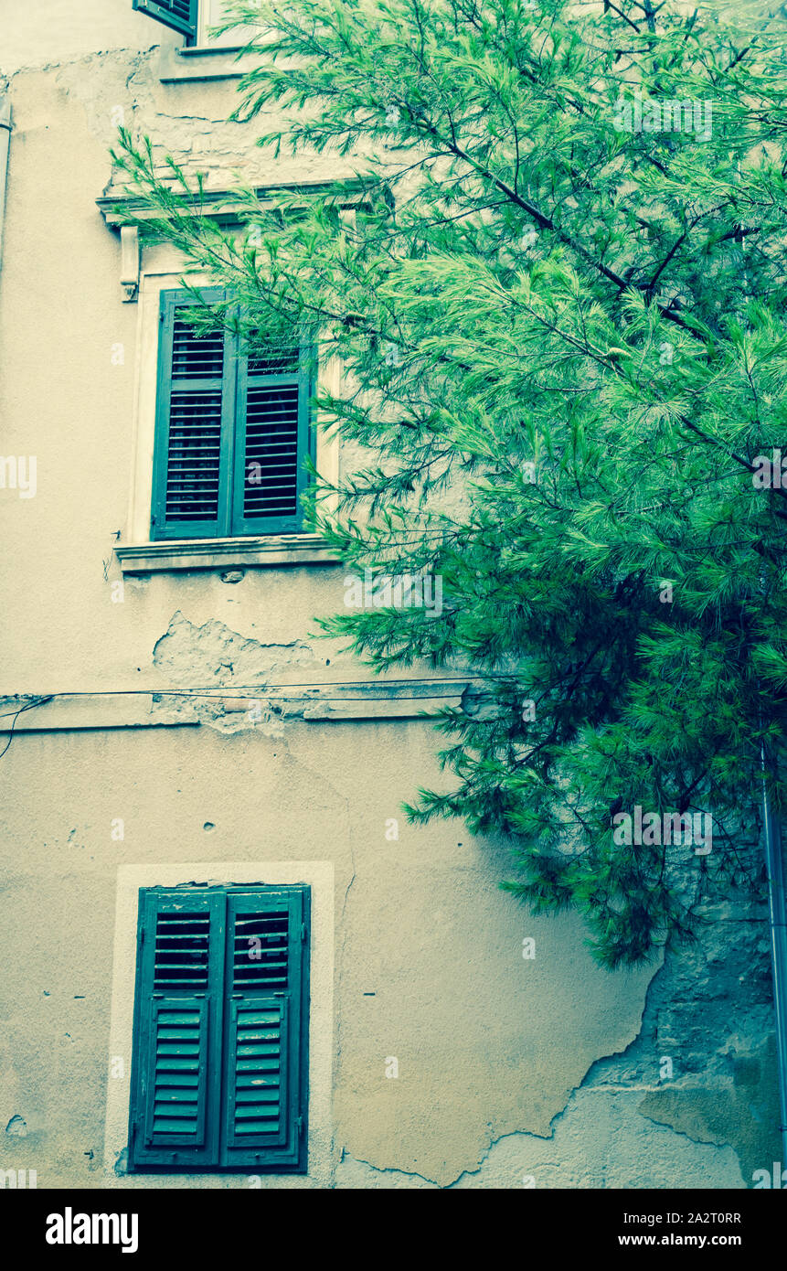 green croatian closed window in the old building Stock Photo