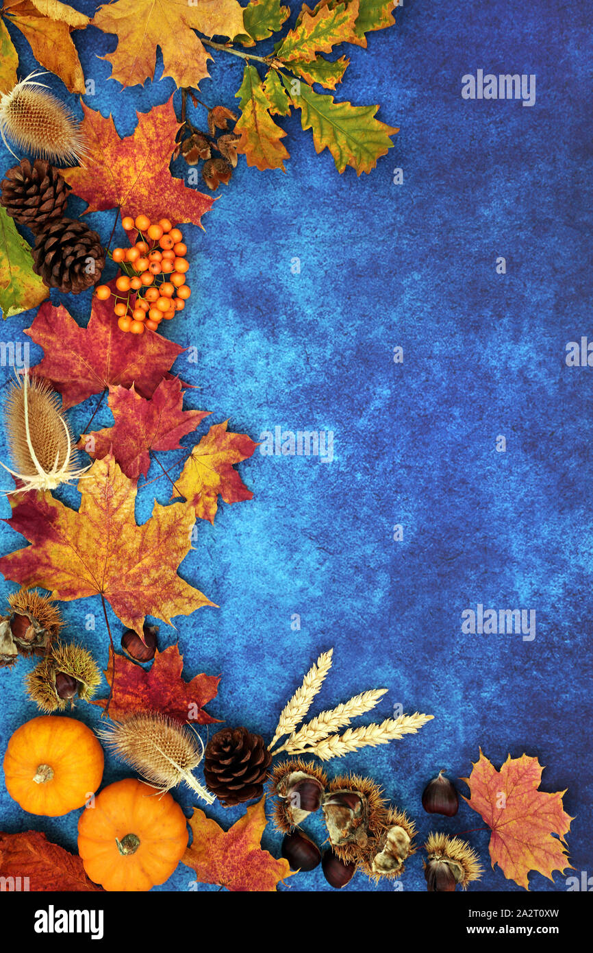 Autumn background border composition with food, flora and fauna on mottled blue background. Top view. Harvest festival or Halloween theme. Stock Photo