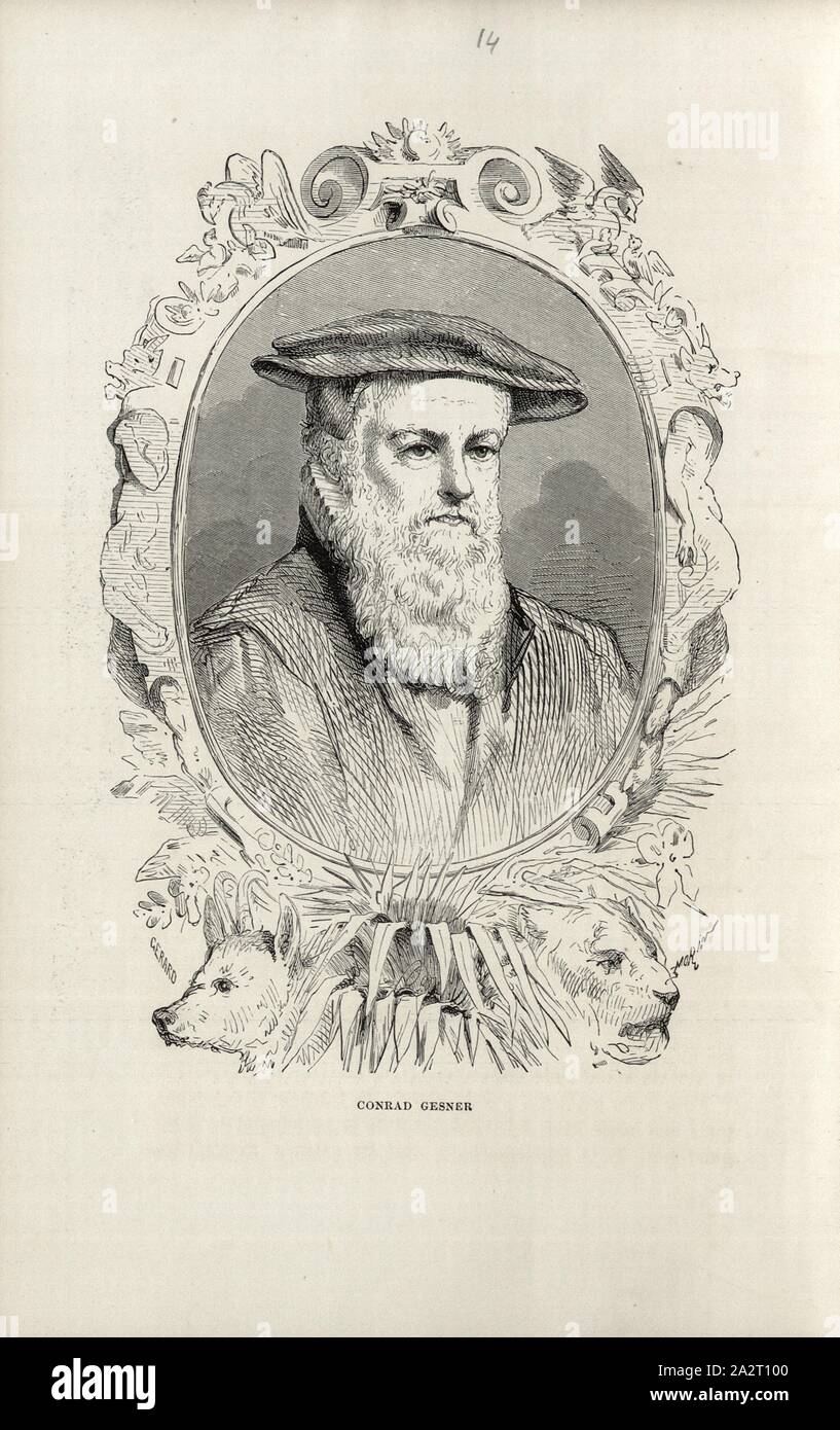 Conrad Gesner High Resolution Stock Photography And Images Alamy