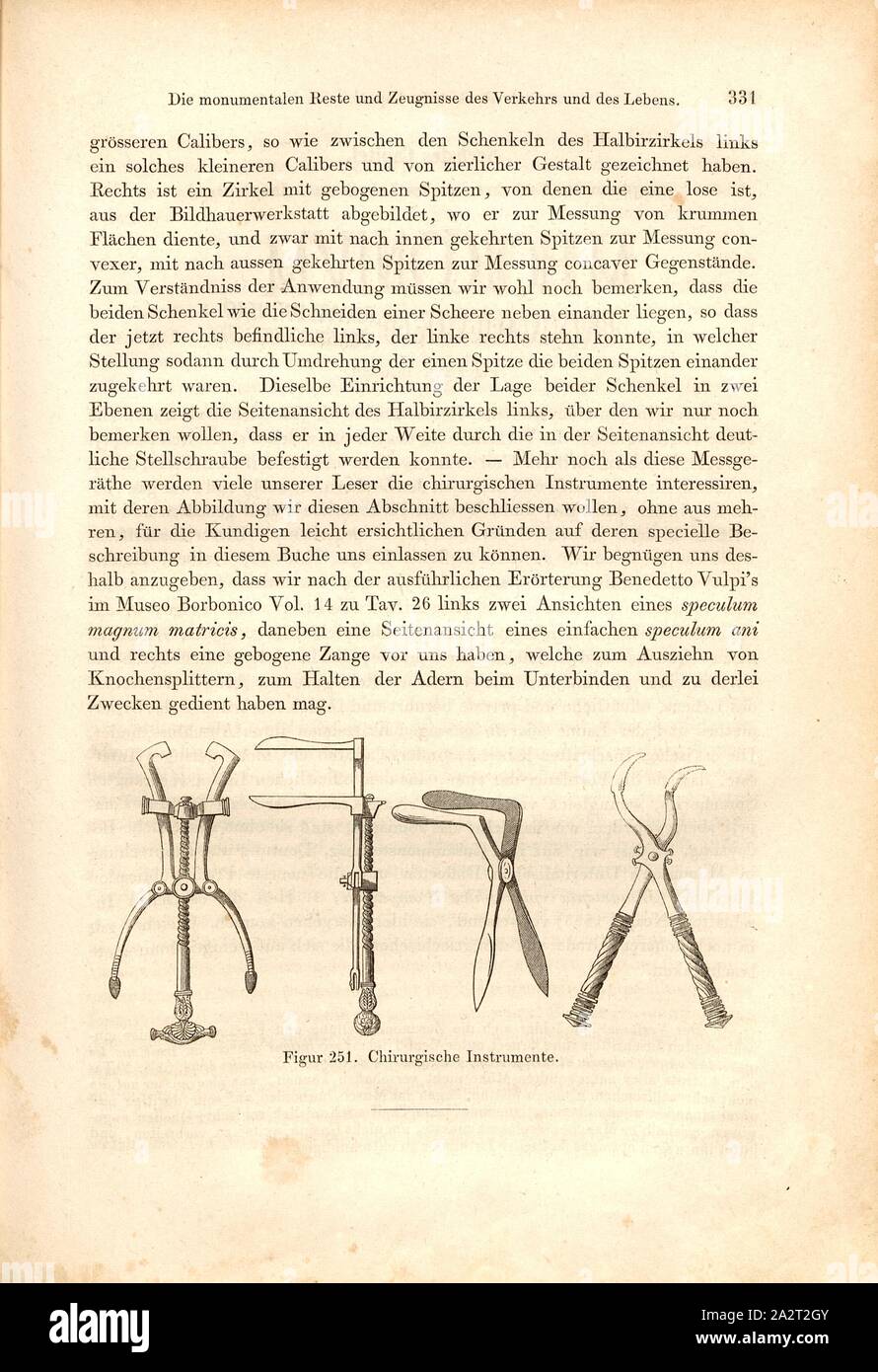 Roman Fig High Resolution Stock Photography And Images Alamy