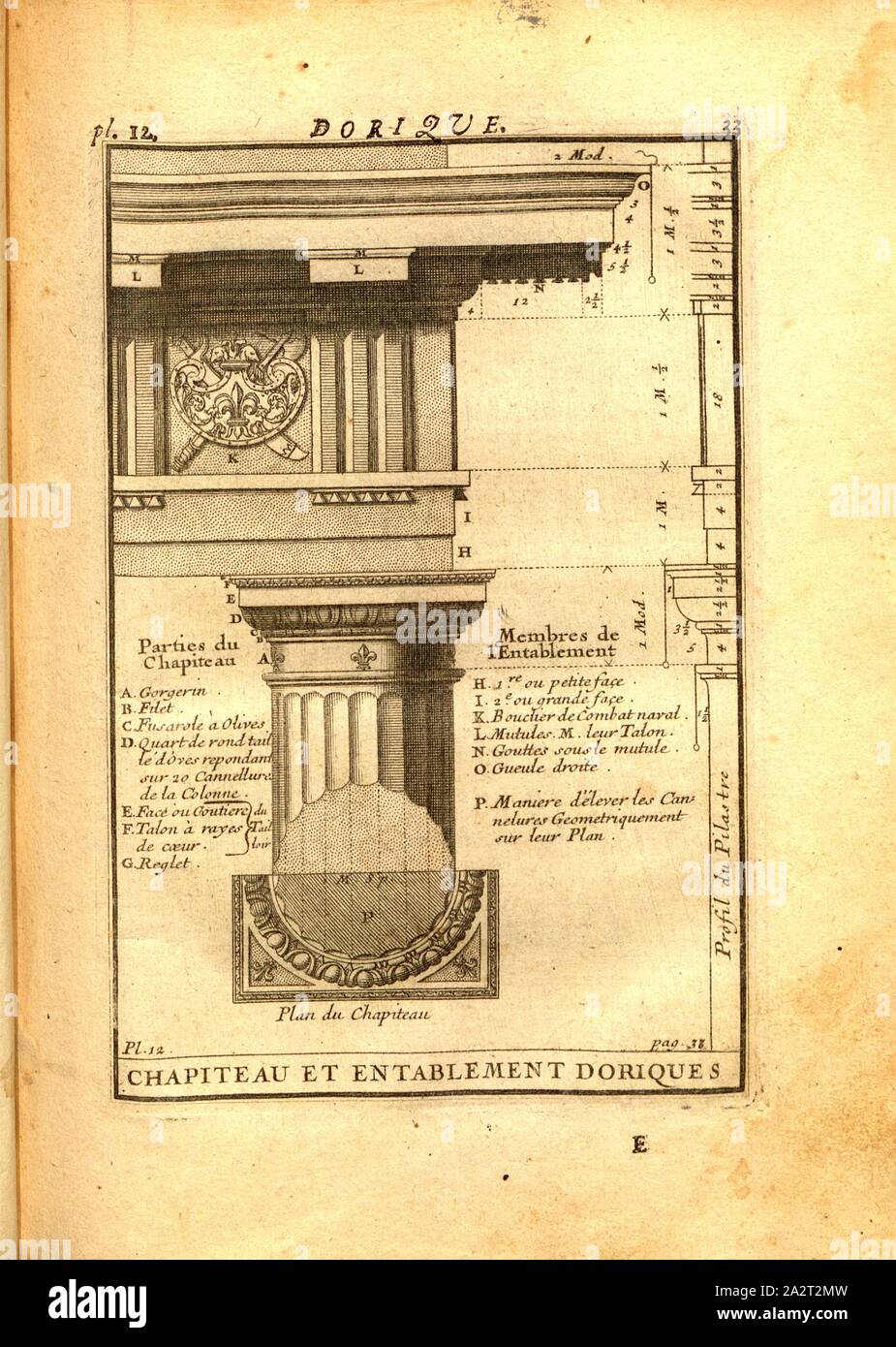 méduse à talon