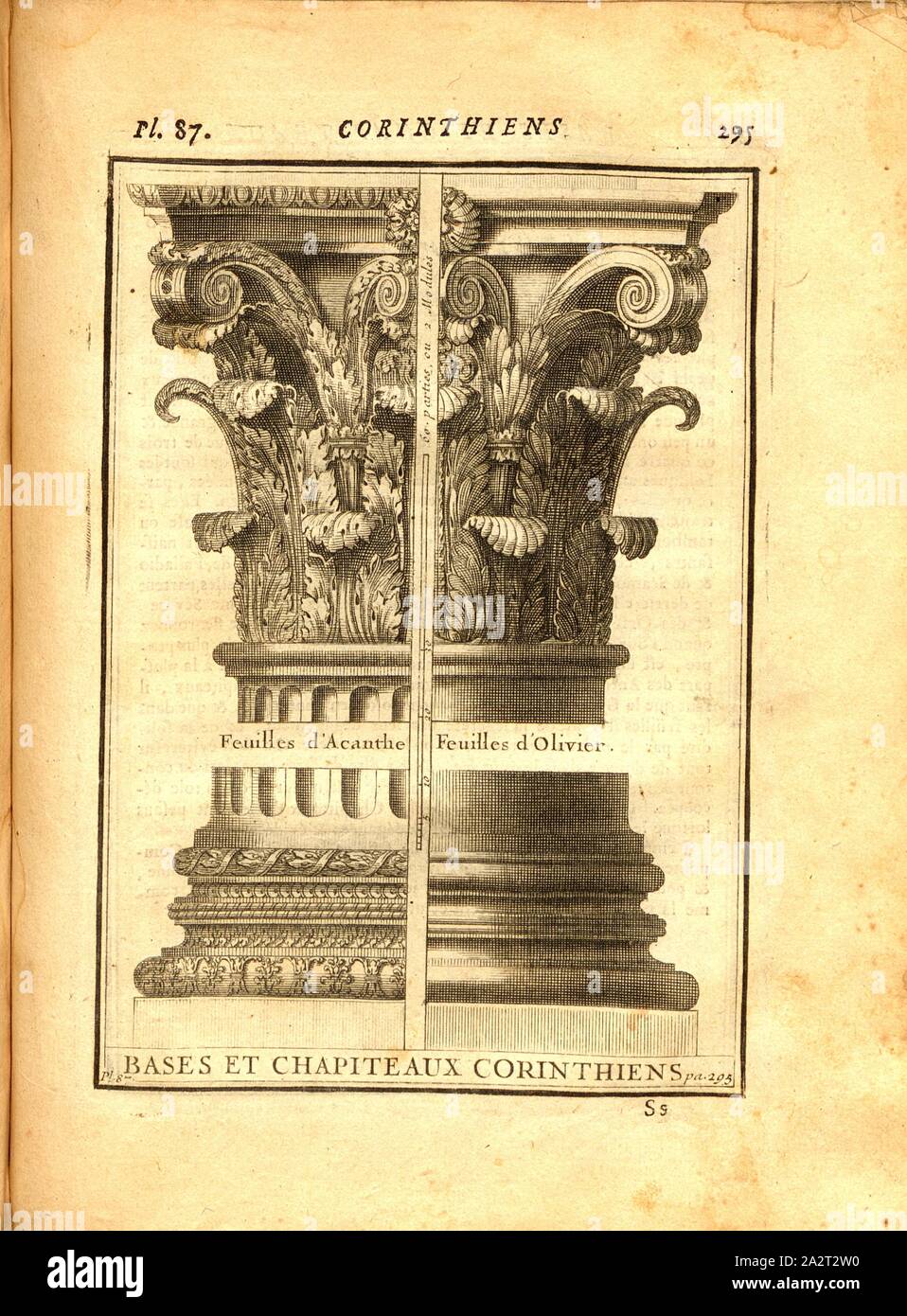 Solid Hardwood Greek//Roman Ionic Capitell