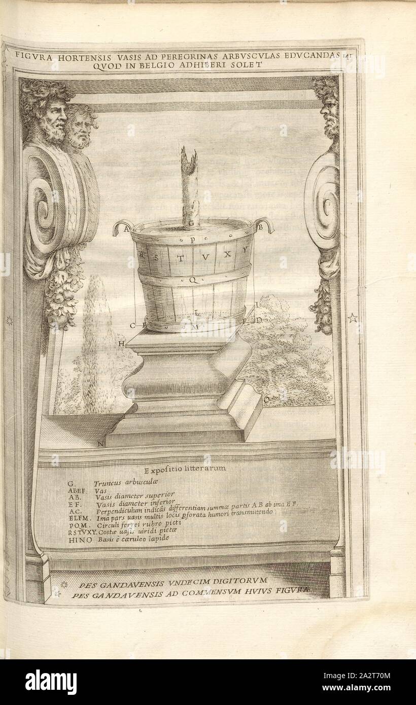 And may be used here strange and small trees in the Netherlands, instructing that the vessel on the the Figure is accustomed to pomatia, Plant pot from Belgium, Fig. 20, according to p. 140, 1646, Giovanni Battista Ferrari: Hesperides sive de malorum aureorum cultura et usu libri quatuor. Romae: sumptibus Hermanni Scheus, 1646 Stock Photo