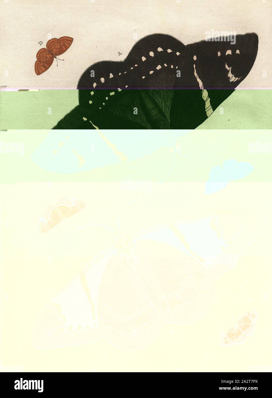Butterflies 1, Fig. A-B: Dedalus, Fig. C-D: Liriope, Fig. E-F: Lucinda, PL., I, after p. 29, 1775, Pieter Cramer: De uitlandsche kapellen voorkomende in de drie waereld-deelen Asia, Africa en America. Bd. 1. Amsterdam [etc.]: chez S. J. Baalde, 1775-1791 Stock Photo