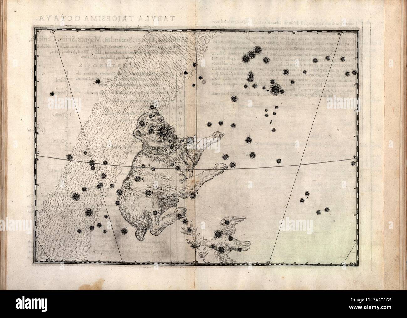 Constellation of the big dog hires stock photography and images Alamy