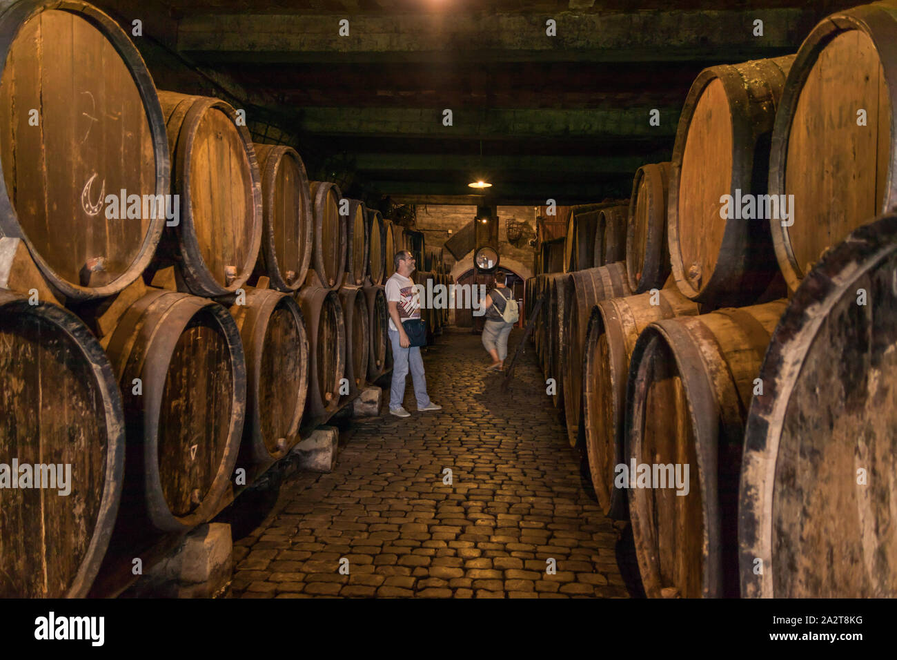 Old wine cellar hi-res stock photography and images - Alamy