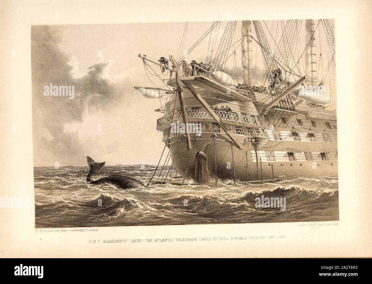 H.M.S. Agamemnon laying the Atlantic telegraph cable in 1858. A whale crosses the line., Warship HMS Agamemnon laying the transatlantic cable 1858, Signed: R. M. Bryson, lith., from a drawing by R. Dudley; Day & Son, Limited, Lith, Fig. 5, according to p. 30, Dudley, Robert (ill.); Bryson, R. M. (lith.); Day & Co (lith.), 1866, William Howard Russell; Robert Dudley: The atlantic telegraph. Dedicated by special permission to His Royal Highness Albert Edward Prince of Wales. London: Day and son Limited, [1866 Stock Photo