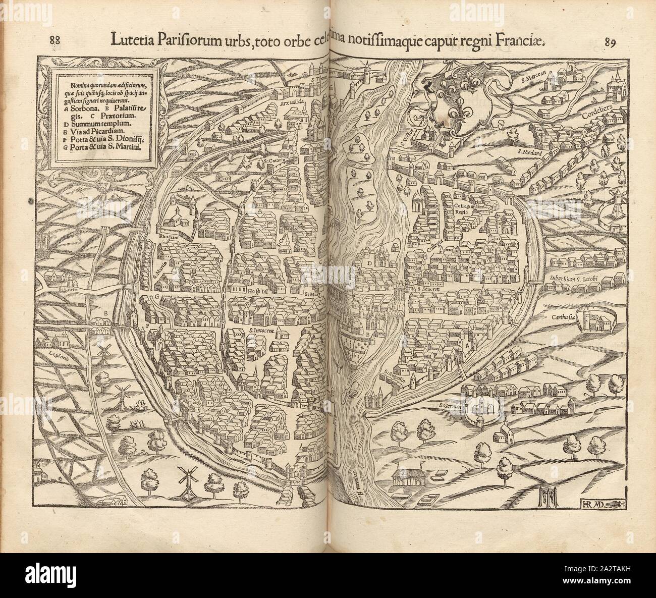 Notissimaque hi-res stock photography and images - Alamy