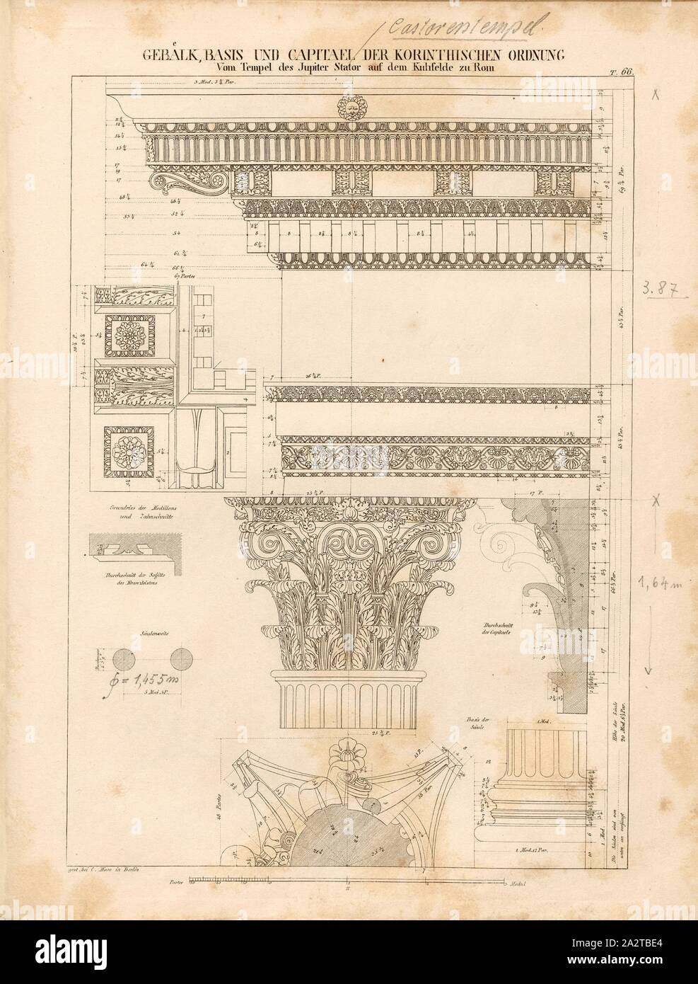 Timber, base and capitals of the Corinthian order from the Temple of