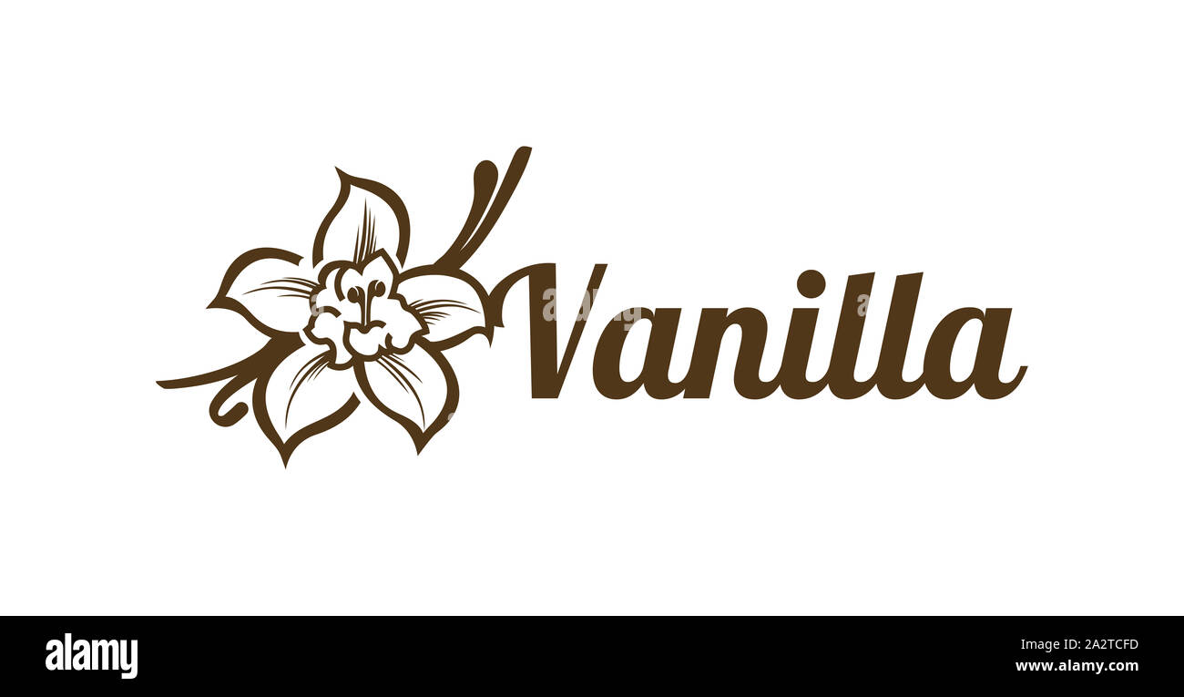 Vanilla flower vector hi-res stock photography and images - Alamy