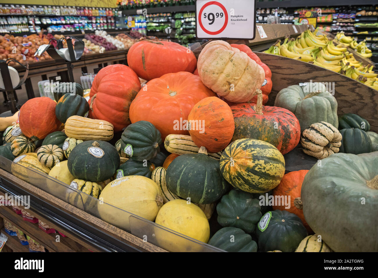 Decorative Gourds Stock Photos Decorative Gourds Stock Images