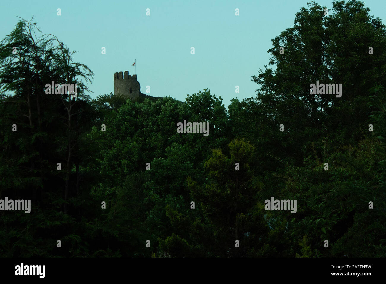 Dudley castle emerging from green trees Stock Photo