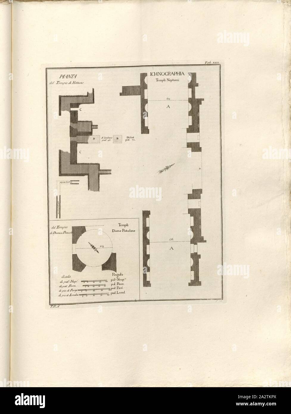 Plan of the Temple of Neptune, of the Temple of Diana in Pozzuolo, Floor plan of the ruins of the thermal baths 'Tempio di Nettuno' and the Nymphaeum (Diana Temple) in Pozzuoli, signed: T. R. A, In, tab. XXIX, Rajola, Tommaso (del.); Fiorillo, Nicola (sc.), 1768, Paolo Antonius Paoli: Avanzi delle antichita esistenti a Pozzuoli Cuma e Baja. [Neapel]: [s.n.], Anno A.C.N.MDCCLXVIII. [1768 Stock Photo
