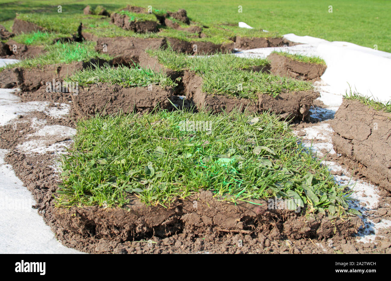 Plastic sheet garden hires stock photography and images Alamy