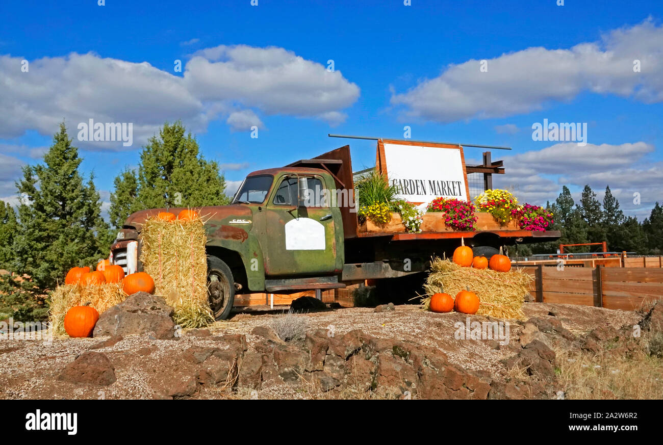 An old, rusty truck is decorated with pumpkins and hay bales just before Halloween. Stock Photo