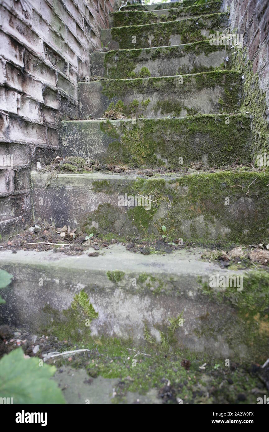 Moss covered steps hi-res stock photography and images - Alamy