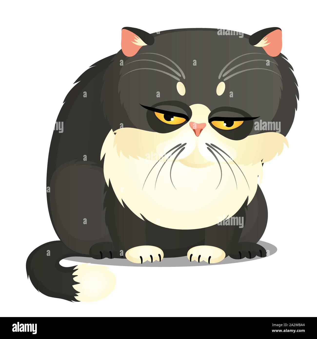 Sad fat gray cat with yellow eyes isolated on a white background. Funny