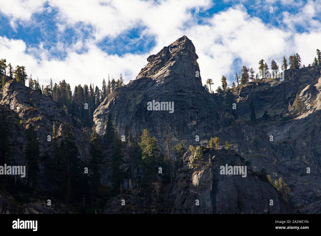 Granite formations shaped like a bear with pine trees surrounding and blue sky in Yosemite Valley, California Stock Photo