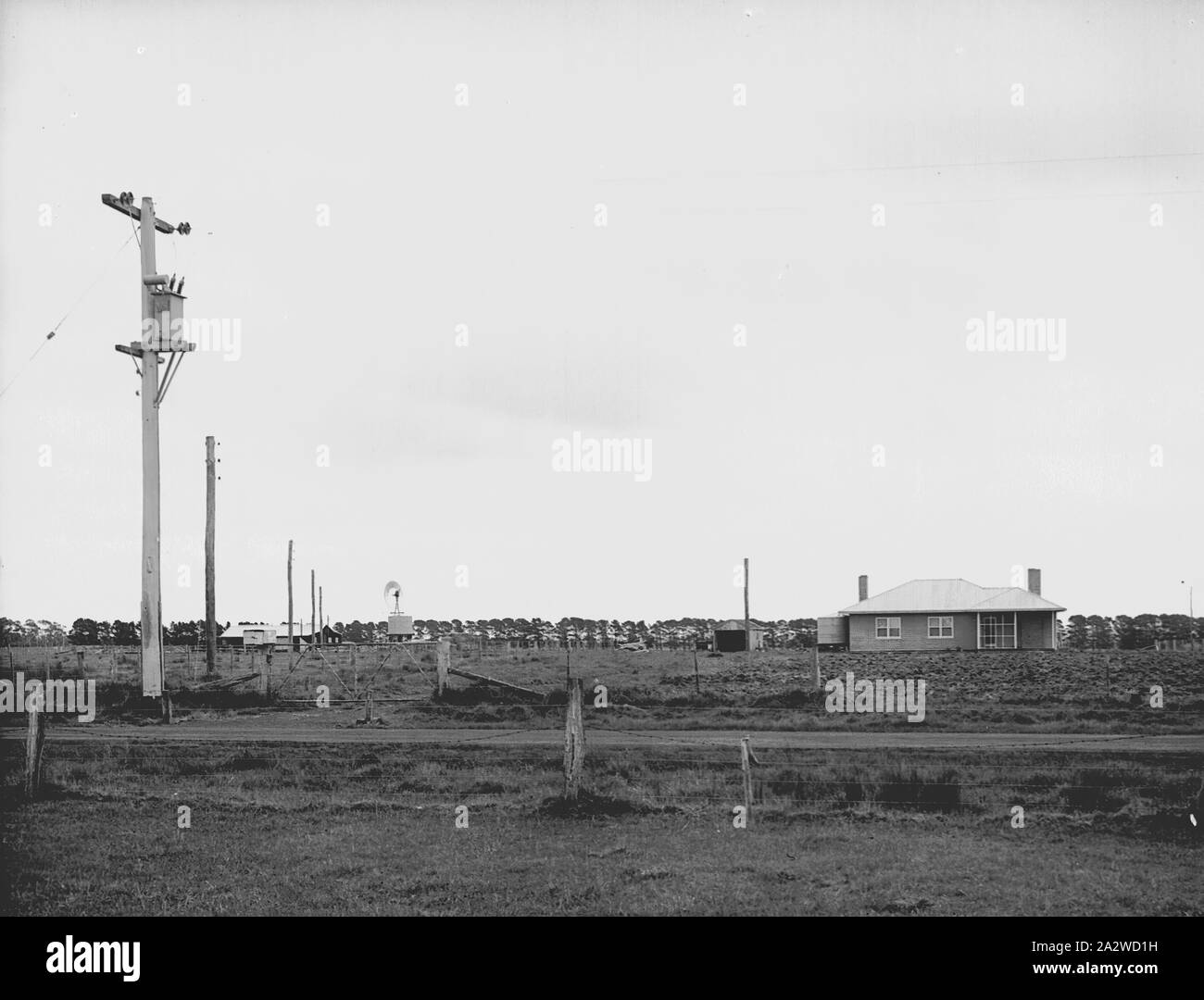 Glass Negative - Soldier Settlement Land, State Electricity Commission, Boorcan, Victoria, Oct 1949, Image of Boorcan - soldier settlement land. Part of a large photographic collection of glass plate and film negatives, photographic prints and photo albums, relating to the development of the electric power supply industry in Victoria, operated by the State Electricity Commission of Victoria (SECV Stock Photo
