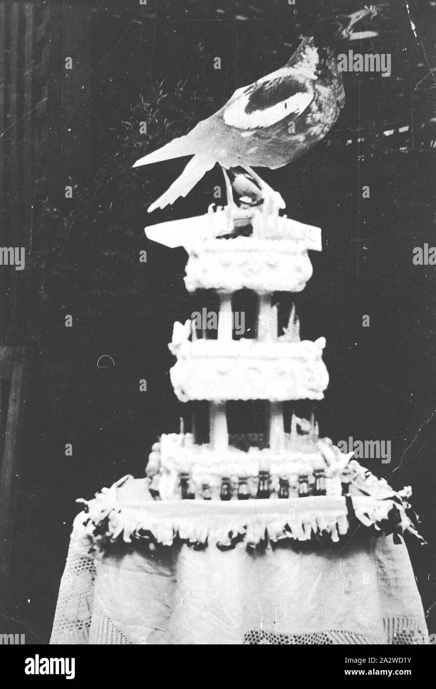 Negative - Collingwood, Victoria, 1930, A cake made to commemorate four consecutive premierships by the Collingwood Football Club. The magpie was wooden and measured 40cm by 34 cm. The Kewpie dolls around the base represented the members of the team. The cake was the centrepiece on the banquet Stock Photo