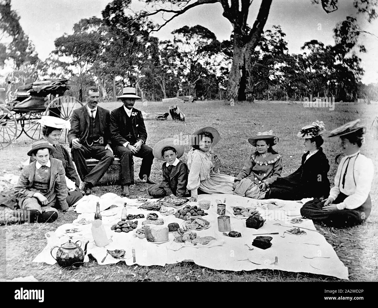 Negative - Balmoral District, Victoria, circa 1905, A family group at a picnic. The picnic appears to be quite formal, the family are all well dressed, there is a tablecloth spread on the ground, there are settings of plates and cutlery and an abundant supply of food. There is a buggy in the background Stock Photo