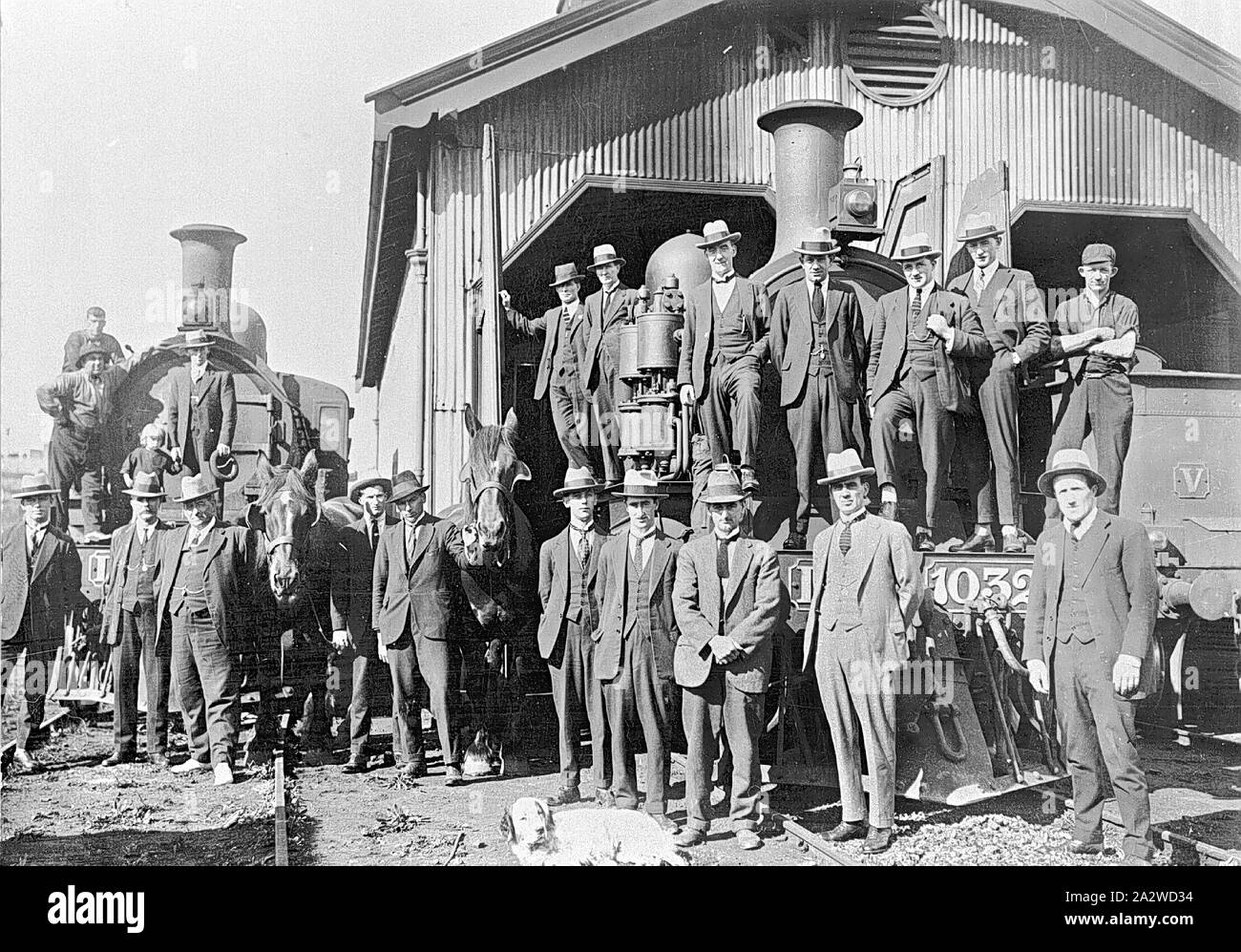 Negative - Victorian Railways Locomotive Crews & Engineers Posed With Three Locomotives at Portland Loco Depot, Victoria, circa 1921, Loco crew members and railway engineers posed with three locomotives at Portland loco depot. The engineers all wear suits and hats. Two horses and a dog are also posed. The tender of a V-class locomotive is visible, and two Dd-class locomotives are visible in front view Stock Photo
