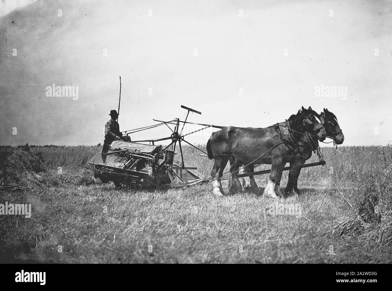 Photograph H.V. McKay Pty Ltd, Farm Equipment Manufacture & Field
