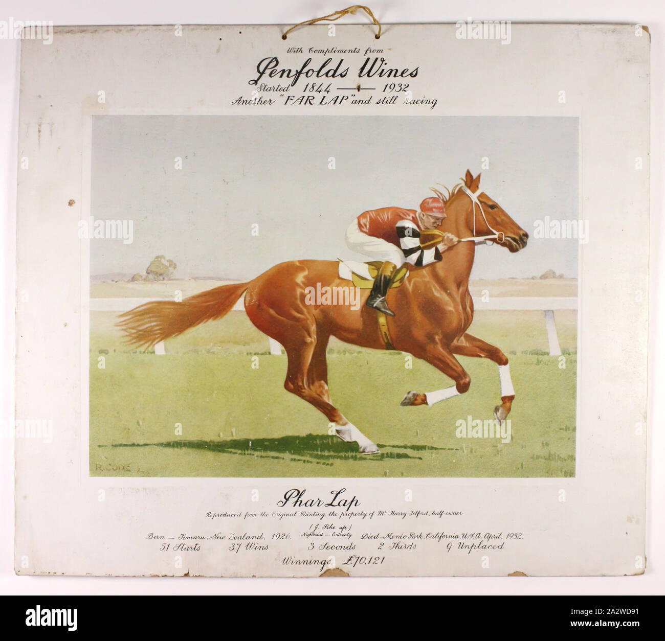 Advertising Print - Penfolds Wines, Phar Lap, 1932, Card advertising poster produced by Penfolds Wines, dated 1932. It features a coloured painting of Phar Lap, reproduced from the original painted by R. Code and owned by Harry Telford, trainer of Phar Lap. The poster also features a brief summary of the horse's racing career Stock Photo