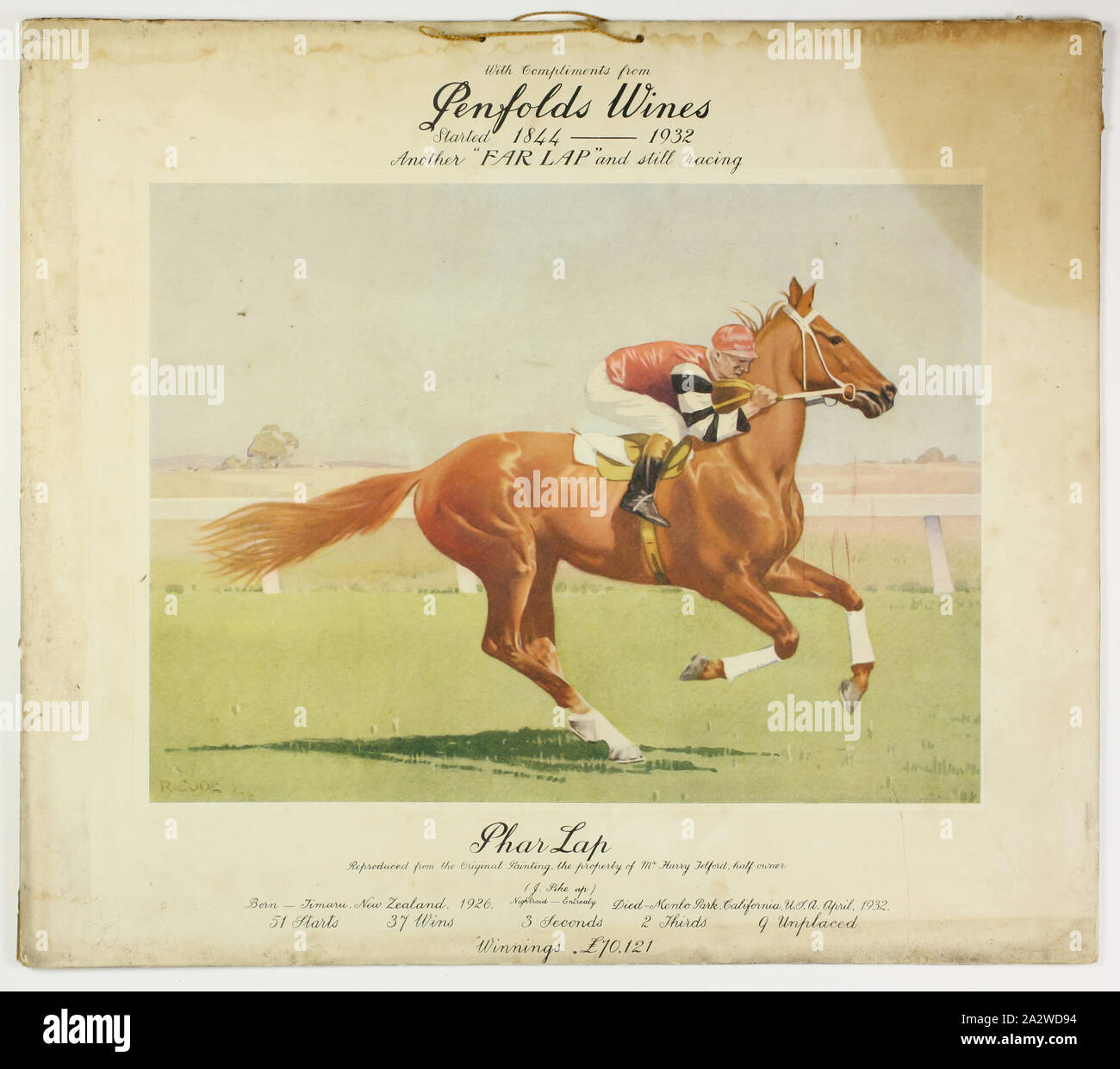 Advertising Print - Penfolds Wines, Phar Lap, 1932, Card advertising poster produced by Penfolds Wines, dated 1932. It features a coloured painting of Phar Lap, reproduced from the original painted by R. Code and owned by Harry Telford, trainer of Phar Lap. The poster also features a brief summary of the horse's racing career Stock Photo