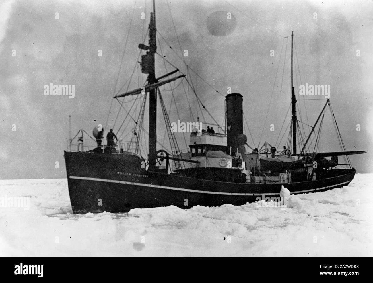 Photograph - by George Rayner, Beascochea Bay, Antarctica, 1927-1939, Photograph taken during a series of scientific expeditions undertaken in the waters off Antarctica, during the late 1920s and 1930s. Probably taken by George W. Rayner, who was employed as a biologist on the expeditions. The 'William Scoresby' was a purpose-designed research vessel built for the Discovery Committee by the East Yorkshire shipyard of Cook, Welton & Gemmell, at Beverley. She was Stock Photo
