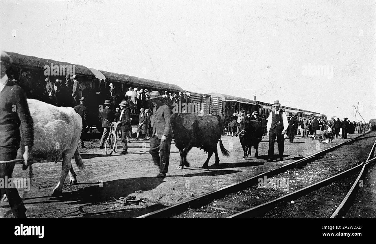 Negative - Mildura, Victoria, 1926, People with the Government Better Farming Train Stock Photo